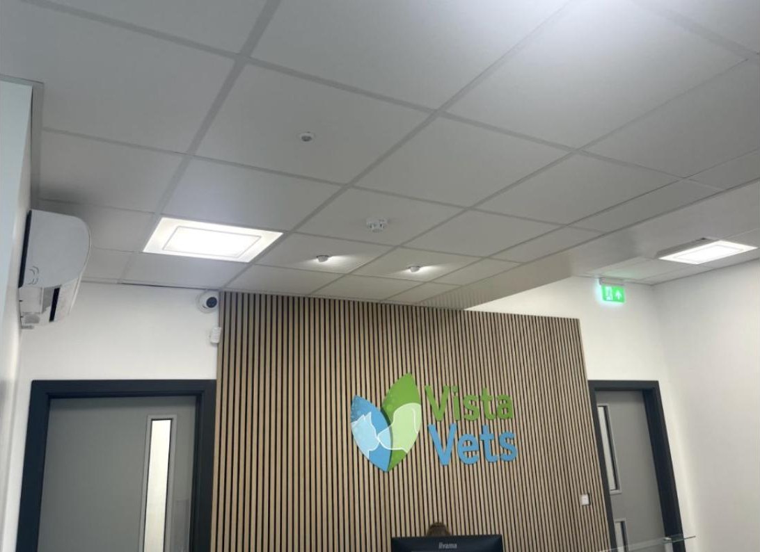 Vista Vets — project photo 1