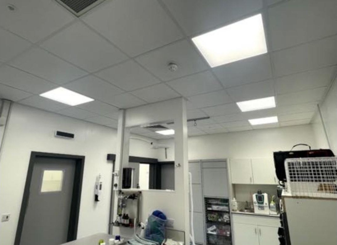 Vista Vets — project photo 2